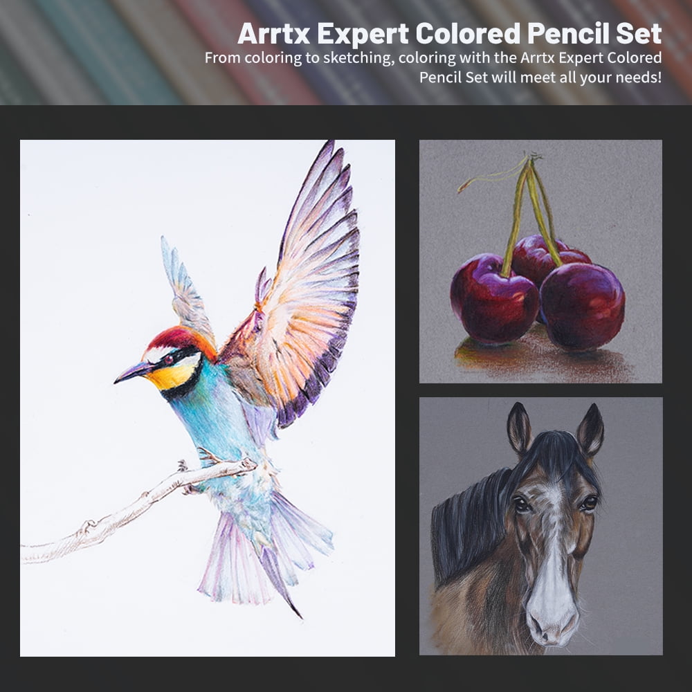 Arrtx Artist 72 Colored Pencils Set, Premium Soft Core Colored Leads for Professional, Beginners, Adult Coloring Books, Sketch Shading