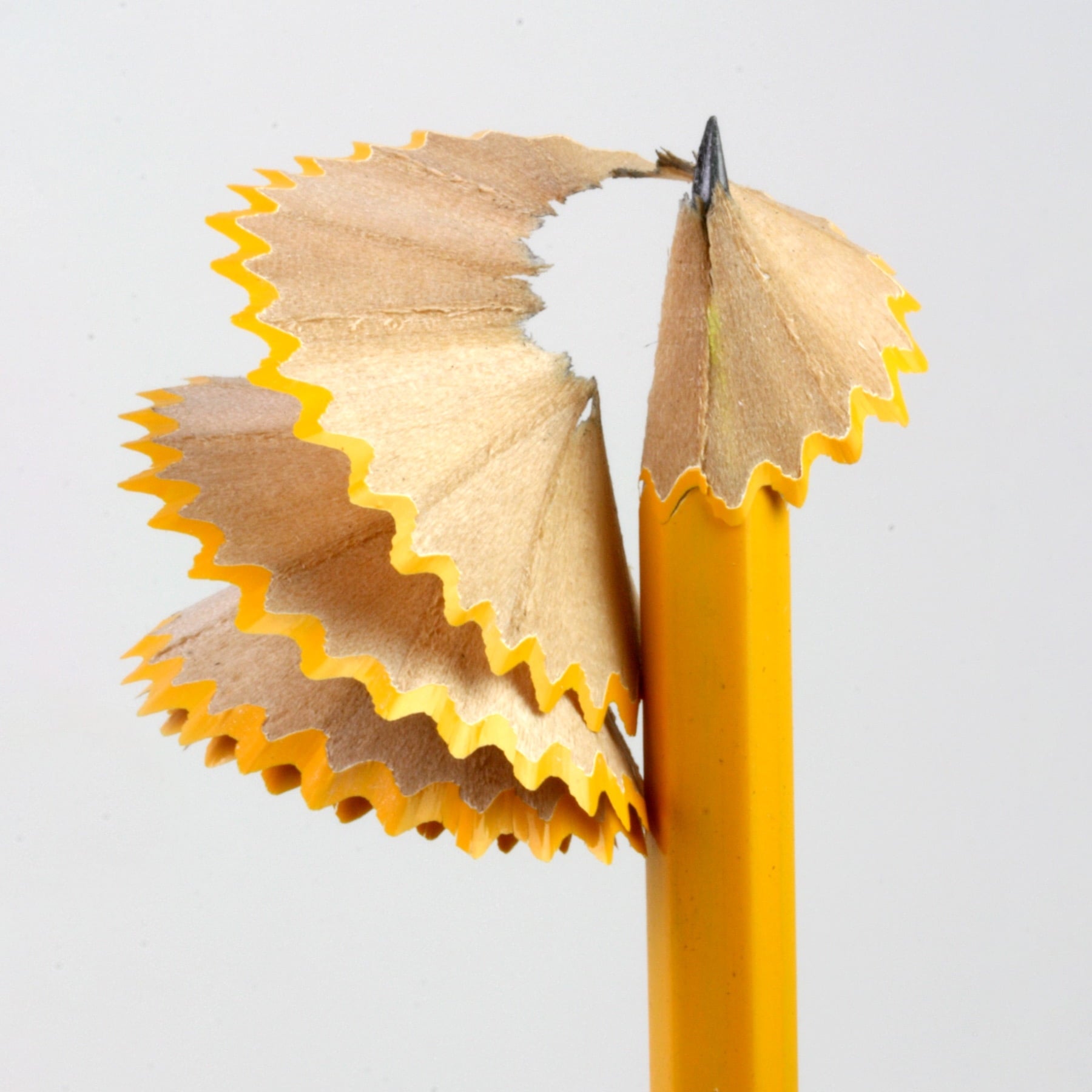 BAZIC Golf Pencil Yellow Pre-Sharpened Pencils #2 HB Mini Pencils (144/Pack), 4-Packs