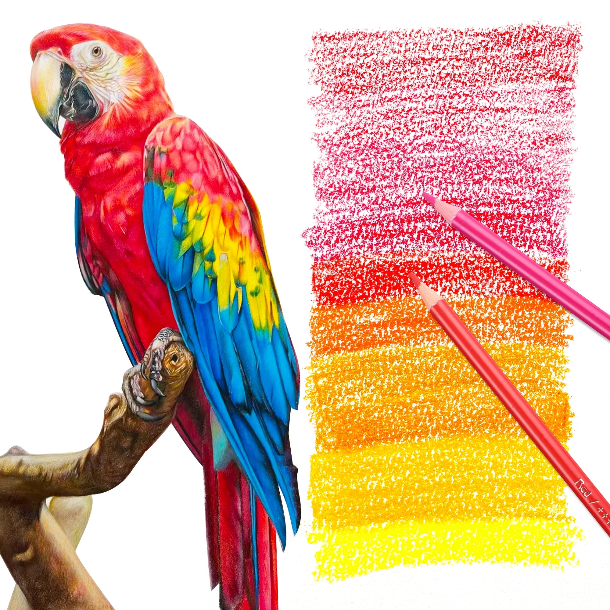 125 Pack Colored Pencils Set for Adult Coloring,120 Colors Coloring Pencils with Extras,Drawing Pencils Art Craft Supplies for Adults Beginners
