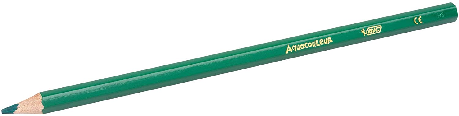 BIC Kids Aquacouleur Colouring Pencils 24 Pack